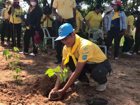 โครงการปลูกต้นไม้เฉลิมพระเกียรติ 2568