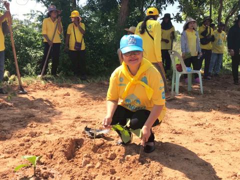 โครงการปลูกต้นไม้เฉลิมพระเกียรติ 2568