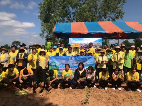 โครงการปลูกหญ้าแฝกเฉลิมพระเกียรติ 2567