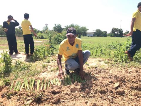 โครงการปลูกหญ้าแฝกเฉลิมพระเกียรติ 2567