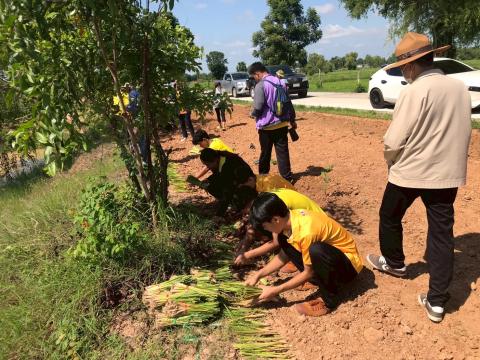 โครงการปลูกหญ้าแฝกเฉลิมพระเกียรติ 2567