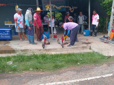 กิจกรรมพ่นหมอกควัน กำจัดลูกน้ำยุงลาย เพื่อป้องกันการแพร่ระบาดโรคไข้เลือดออก